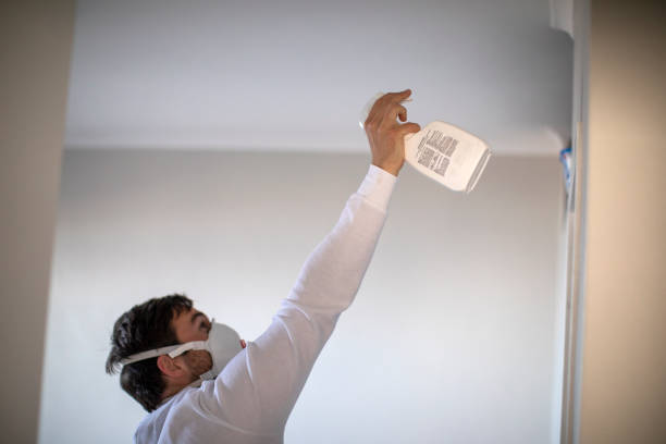Best Local Mold Removal Service  in Snellville, GA