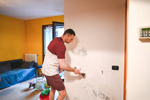 Best Same-Day Mold Removal  in Snellville, GA